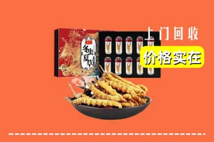 潮州饶平县回收冬虫夏草
